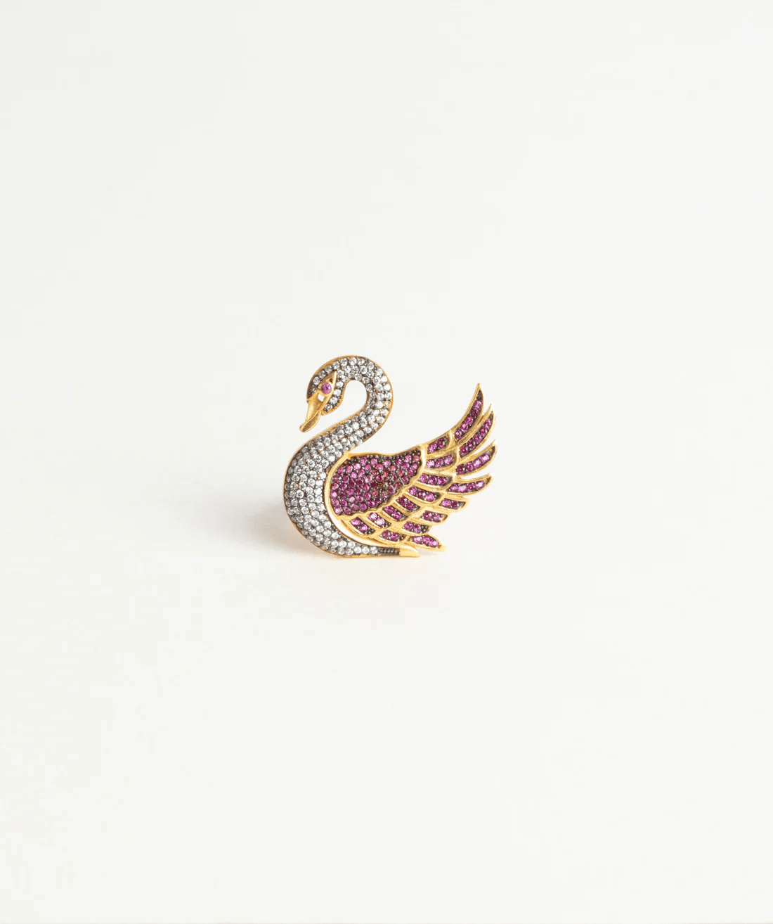 Swan of Royalty - BEDIHADENIZ