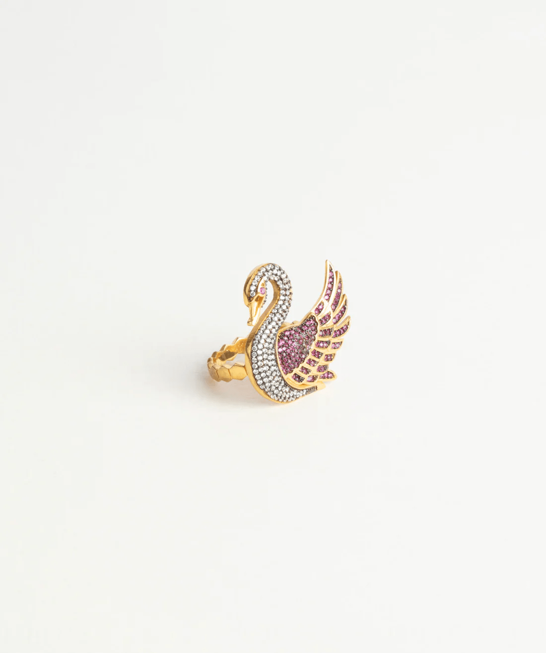 Swan of Royalty - BEDIHADENIZ
