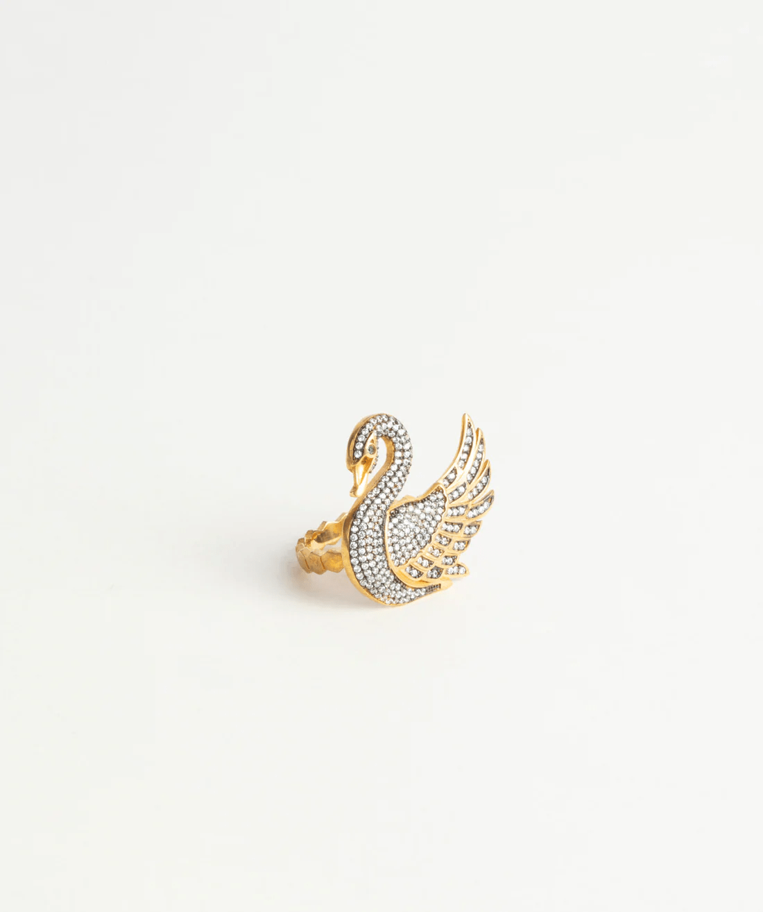 Swan of Frost - BEDIHADENIZ
