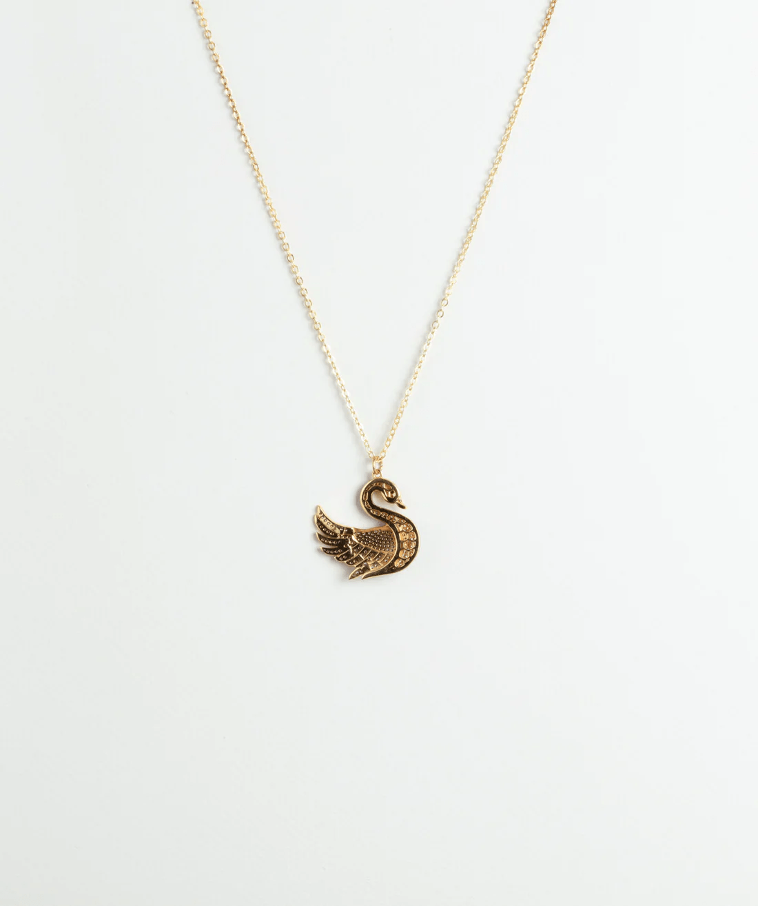 Swan of Rosebud - BEDIHADENIZ